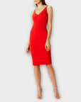 Coast Angelina Shift Dress - 12