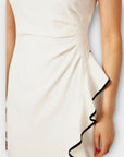 Coast Dress - 14/16