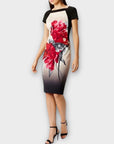Coast Katsura Print Mina Shift Dress - 12