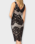 Coast Moiselle Lace Shift Dress - 12