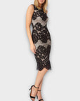 Coast Moiselle Lace Shift Dress - 12