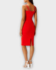 Coast Scarlett Shift Dress - 12