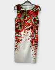 Hobbs Floral Dress - 14