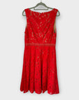 Oasis Lace Dress - 10/12