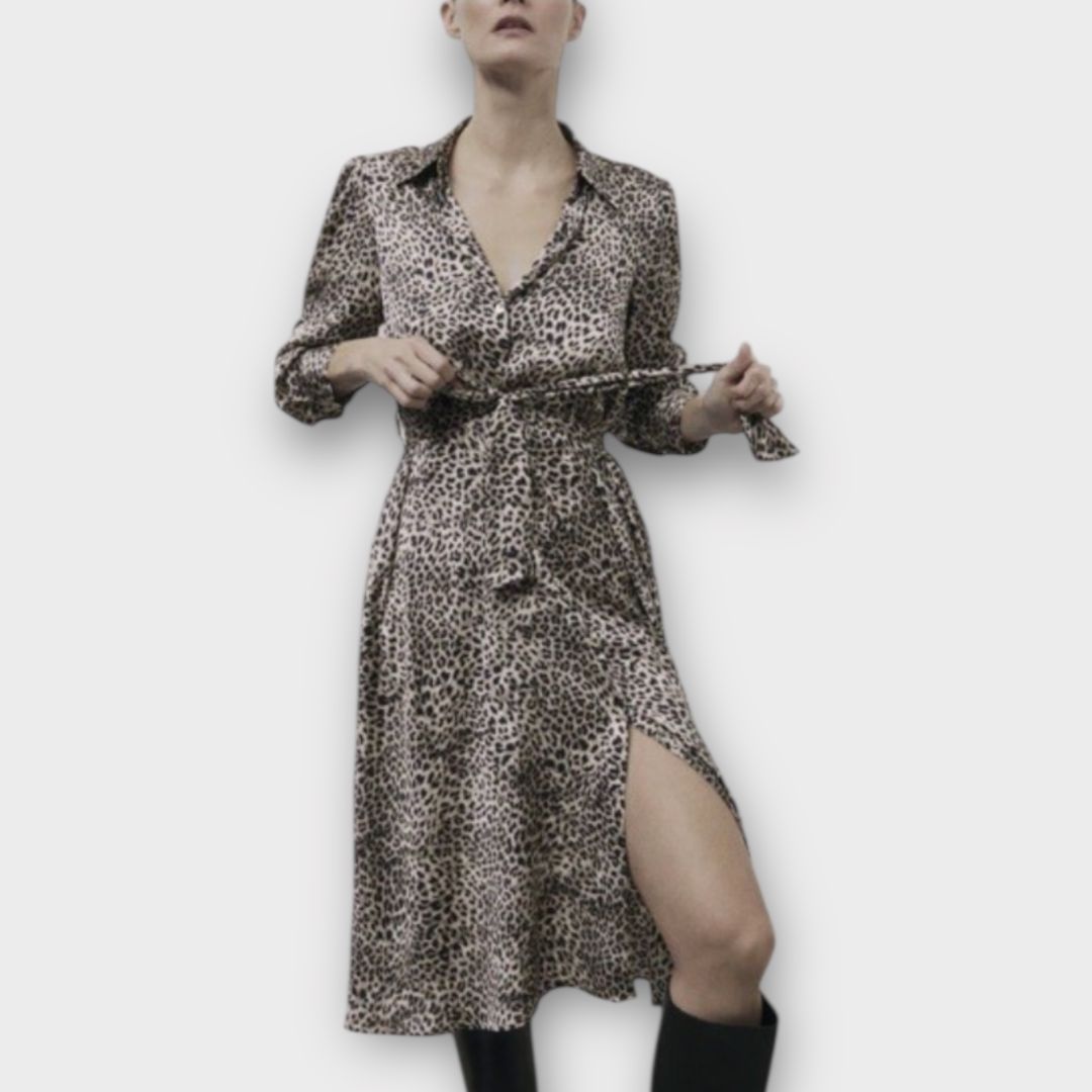 Zara Leopard Print Dress - S