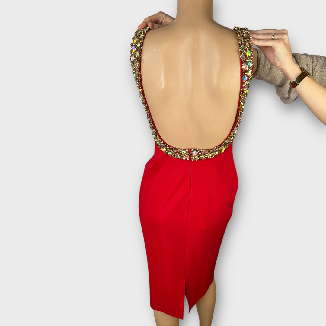 Pia Michi Open Back Beaded Dress - 10